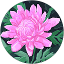 Bharathi S. profile picture